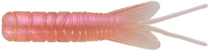 Insecto para Captura de Larvas en Pan y Candy