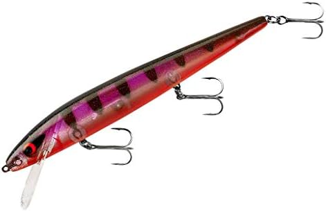 Señuelo Rogue Minnow Jerkbait Acción Errática