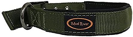 Collar para perro Swagger