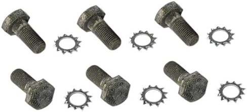 Tornillos placa flexible set 6