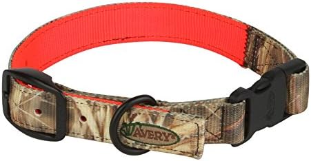 Collar perro resistente agua hebilla rápida