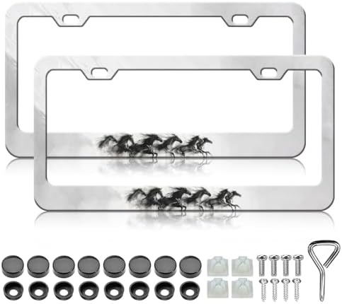 Marco placa matrícula acero inox 2 Pzas negro resistente