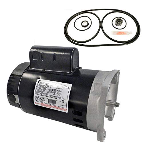 Kit motor repuesto Pentair Challenger 1HP AO Smith