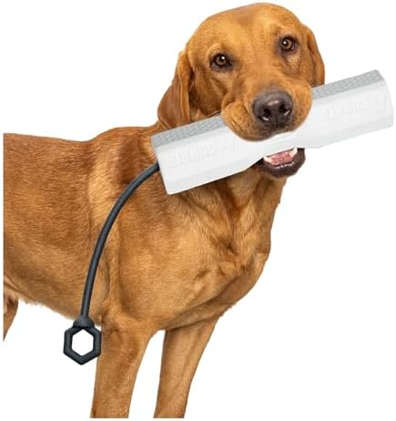 Juguete parachoques perro cuerda ajustable simulador agua