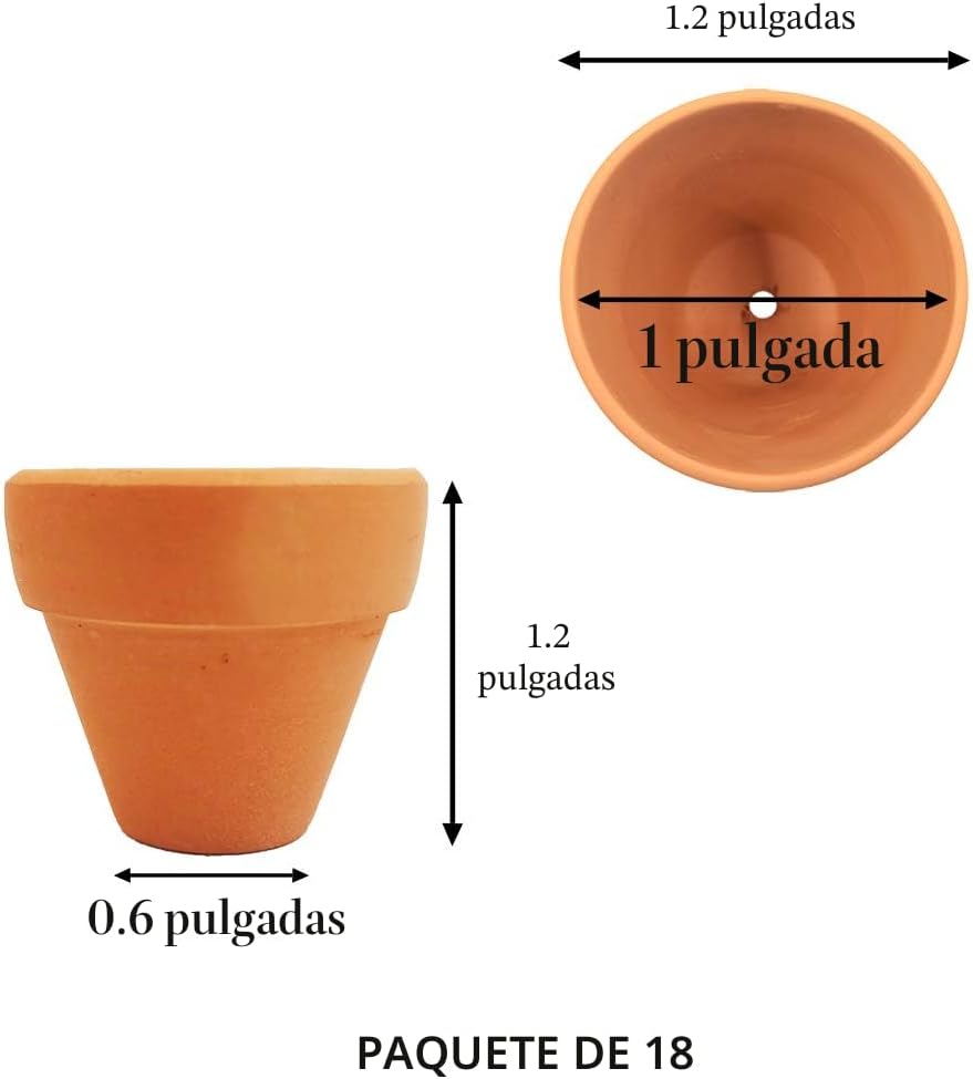 Macetas terracota 1.2pulg con drenaje para cactus interiores