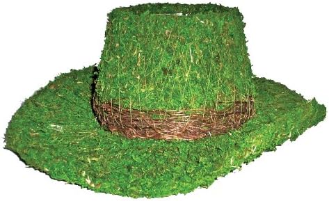 Sombrero vaquero musgo grande color verde fresco