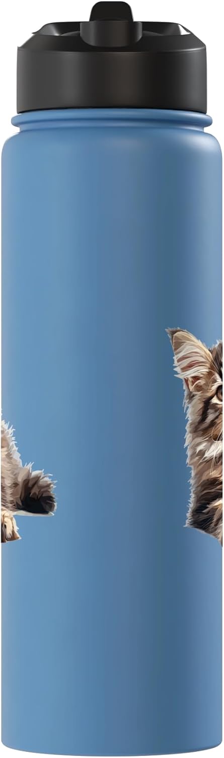 Bebida para gatos Maine Coon de acero inoxidable aislada