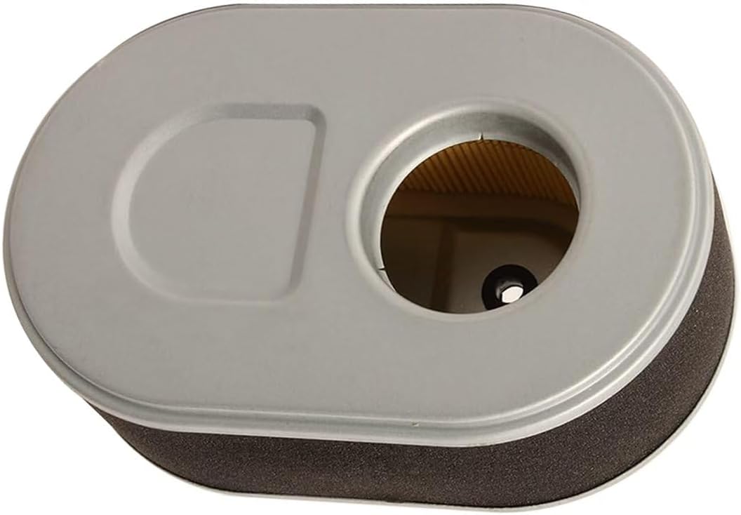 Motor filtro aire 679cc Troy-Bilt MTD Cub Cadet