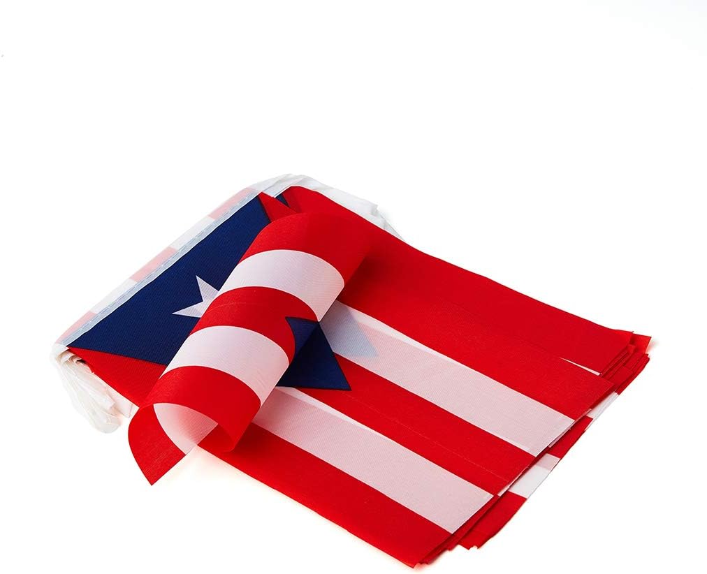 Bandera Puerto Rico mini para fiestas escuela eventos