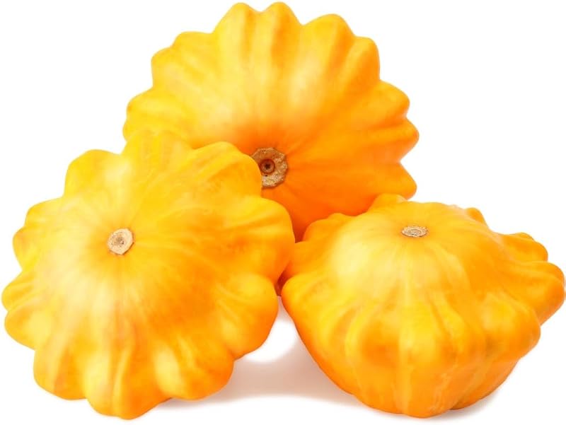 Semillas calabacín Patty Pan Amarillo No GMO