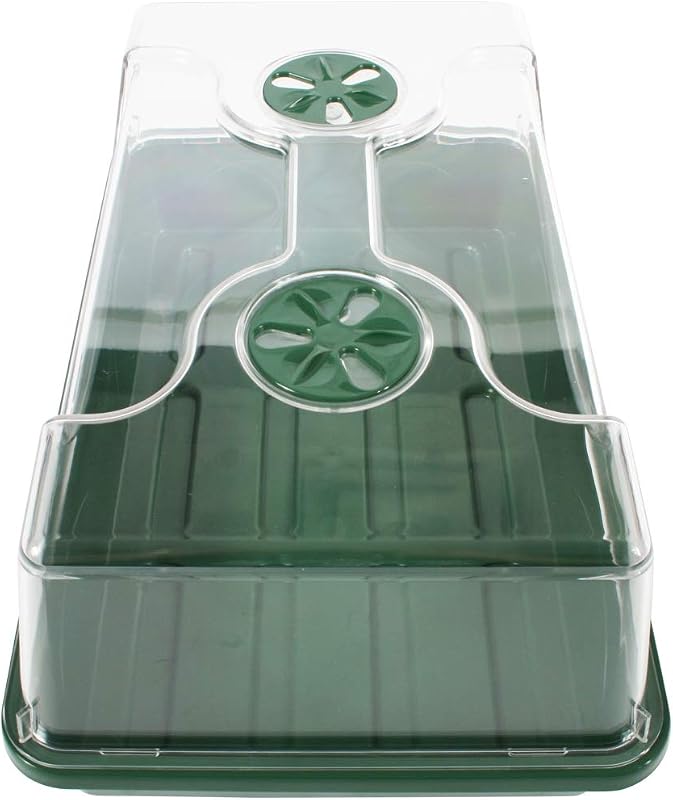 Propagador con abovedado medio 15x9x7pulg negro/verde oscuro