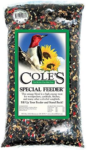 Semilla especial para pájaros 10lb