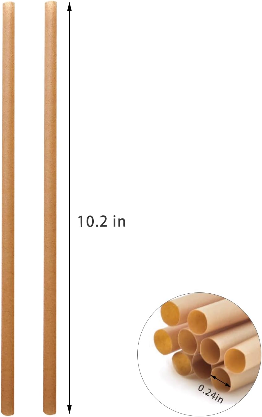 Pajitas biodegradables caña azúcar 10.2pulg 200uds