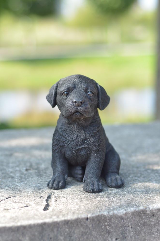 Estatua cachorro Labrador color negro