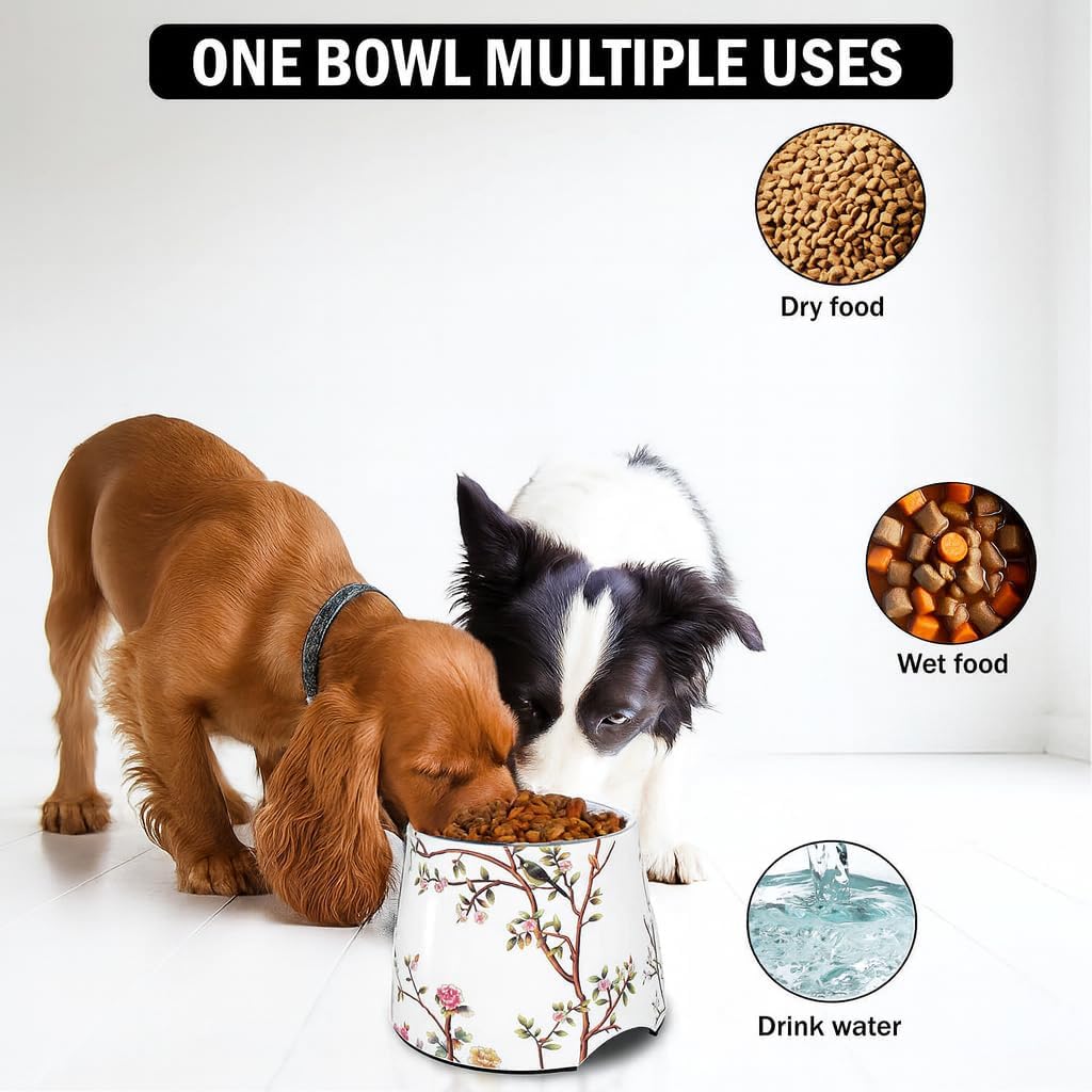 Tazón elevado cerámica perro mediano 7pulg acero inox 304