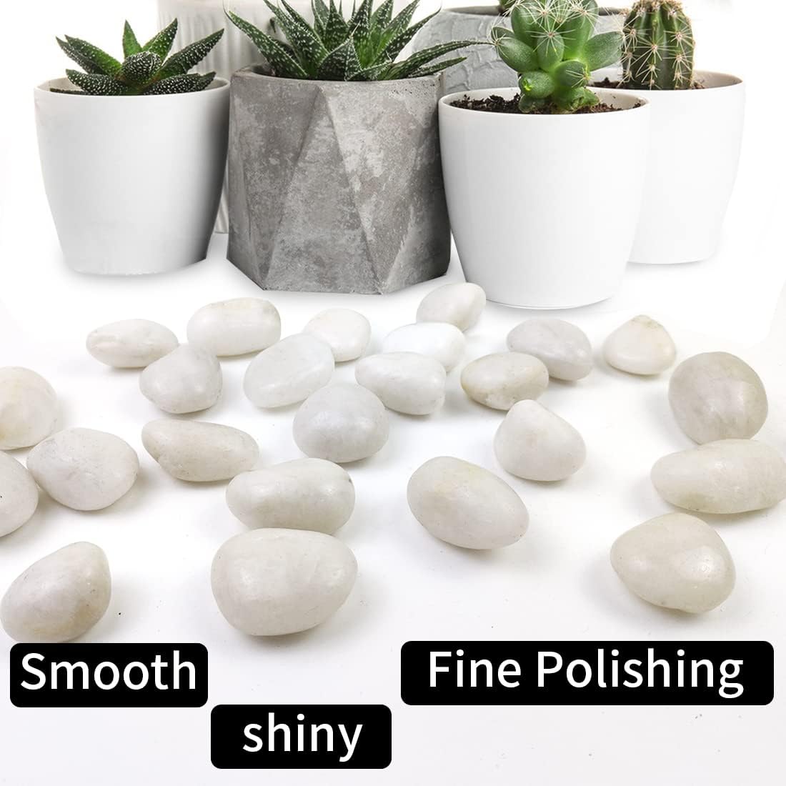 Rocas río blancas pulidas 5lb para jardín acuario