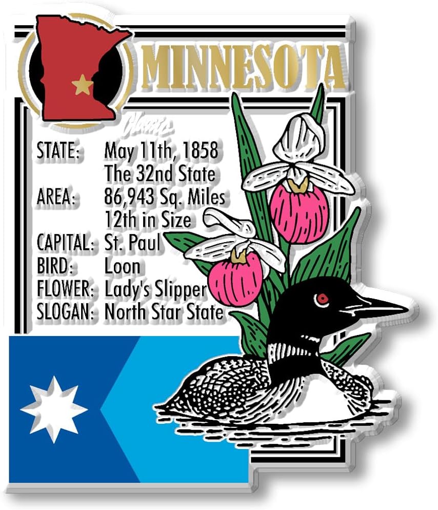 Juego 6 imanes Minnesota 3D vintage coleccionables