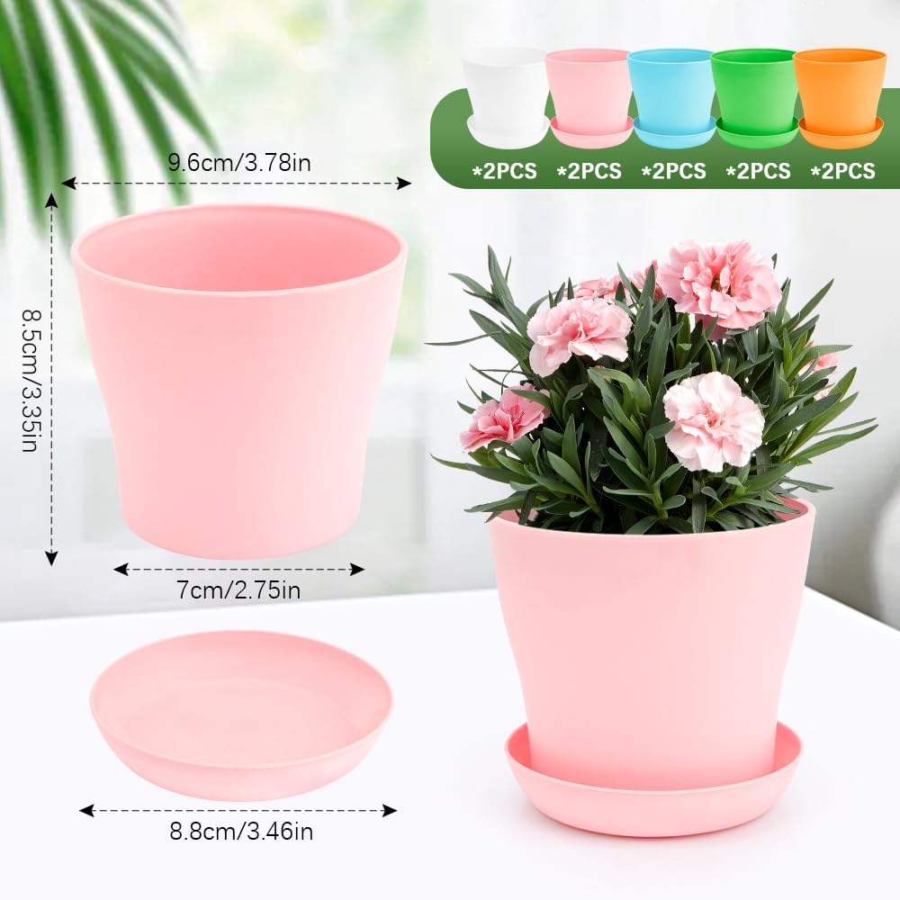 Macetas 4pulg 10uds para suculentas y plantas interiores