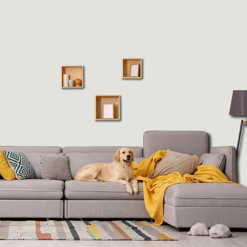 Pintura todo en uno interiores gris paloma 1gal