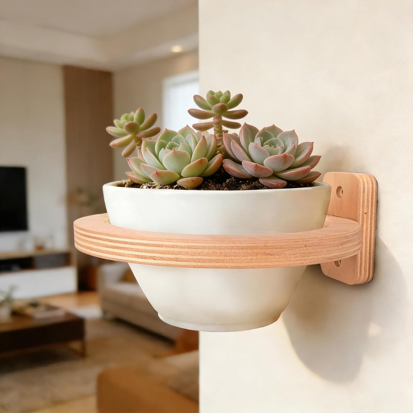 2 Pzas Colgador Pared Madera Soporte Plantas Minimalista