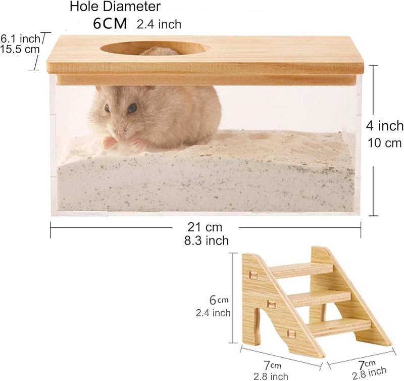 Caja arena hámster transparente con escalera grande