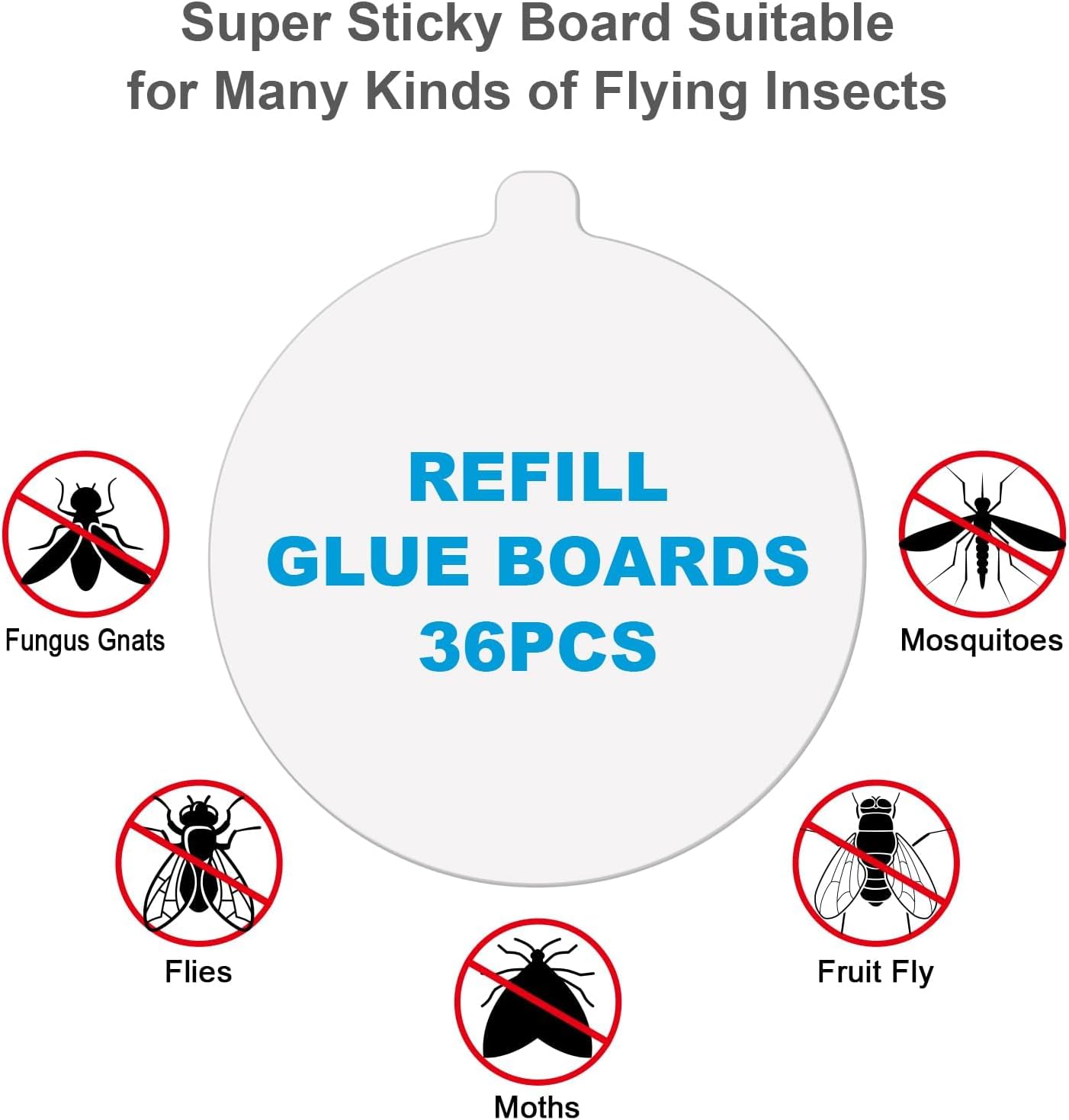 Placa goma Katchy 4.3pulg con adhesivo para trampa insectos