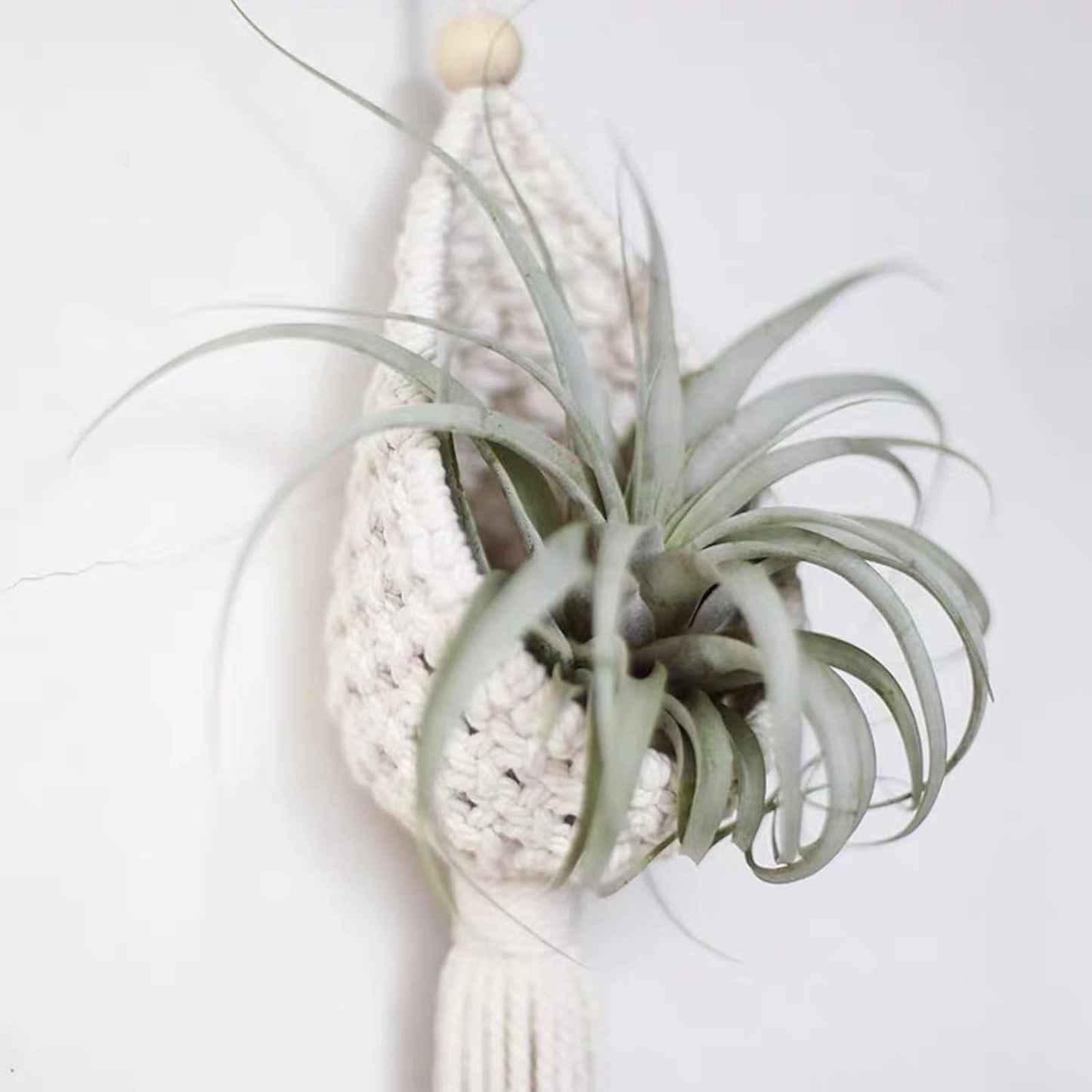 2 Perchas Macramé Cesta Colgante Bohemia Decoración Hogar