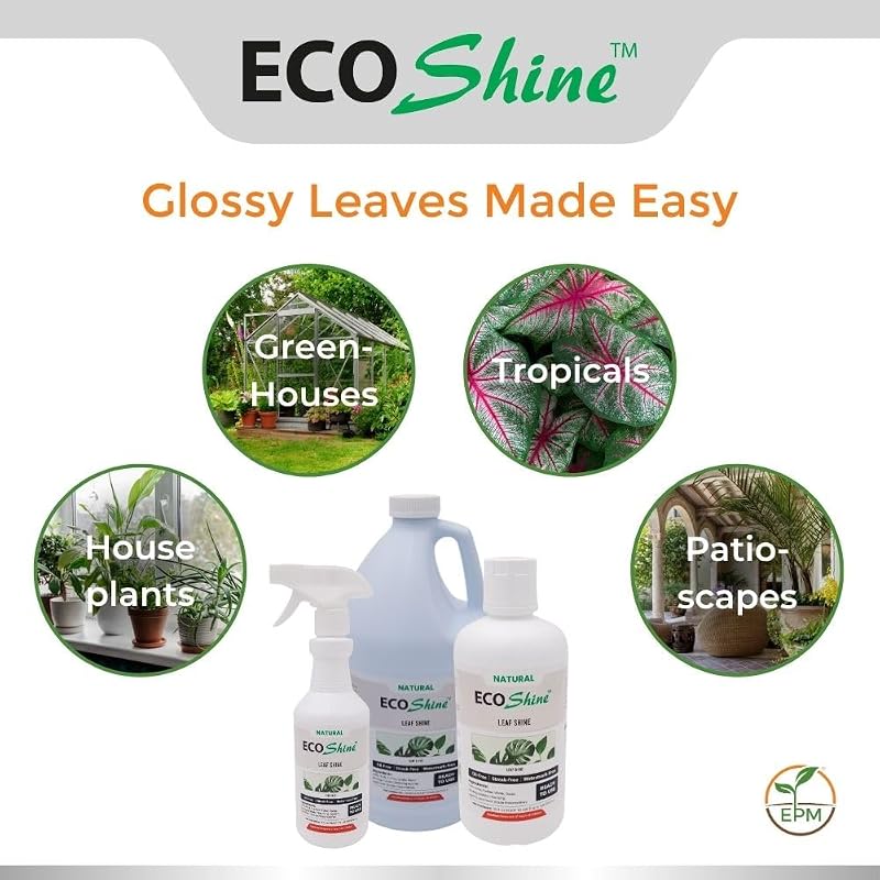 Spray brillo hojas sin aceite para plantas interior