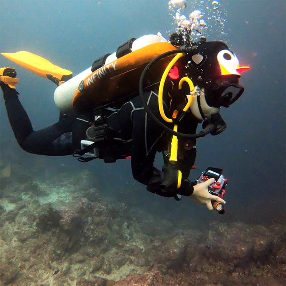 Capucha neopreno 3mm con orejas gato para buceo surf