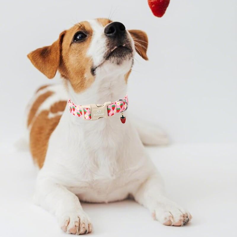 Collar perro primavera/verano ajustable con fresas rosas talla M