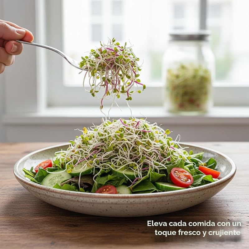 Mezcla semillas brotadas brócoli trébol rábano alfalfa 1/4libra