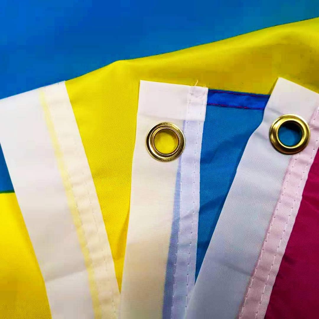 Bandera pansexual 3x5ft orgullo pansexualidad