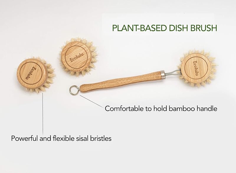 Cepillo bambú platos botella 2 cabezales biodegradable