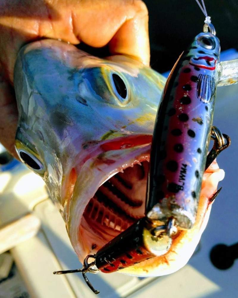 Señuelo Wake Minnow articulado para pesca V-Wake