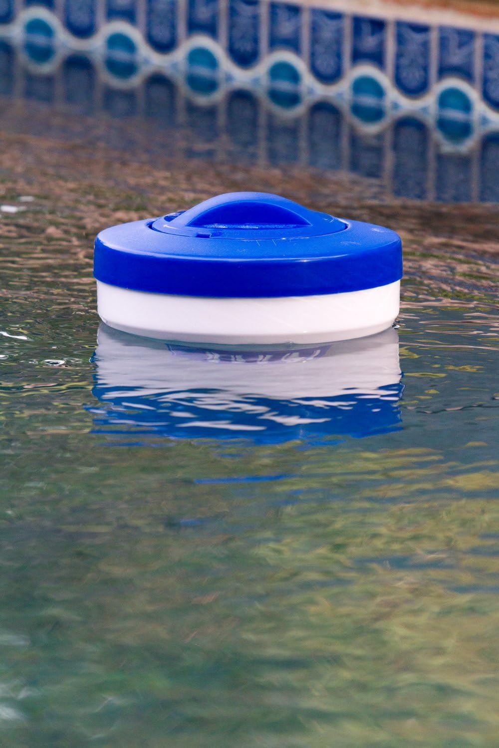 Dispensador flotante cloro piscina Essential