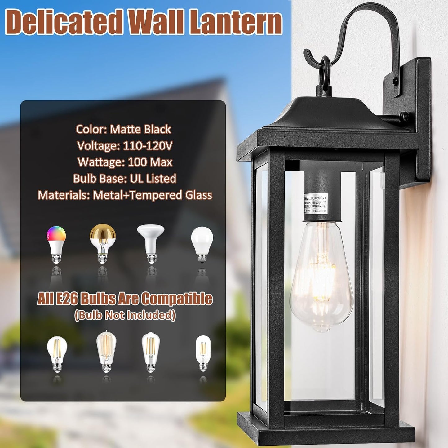 Lámpara pared exterior grande 17" vidrio transparente IP65