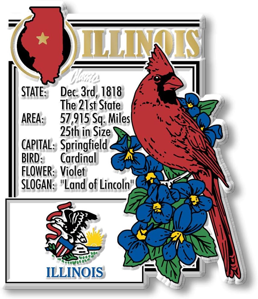 Juego 6 imanes Illinois 3D vintage coleccionables