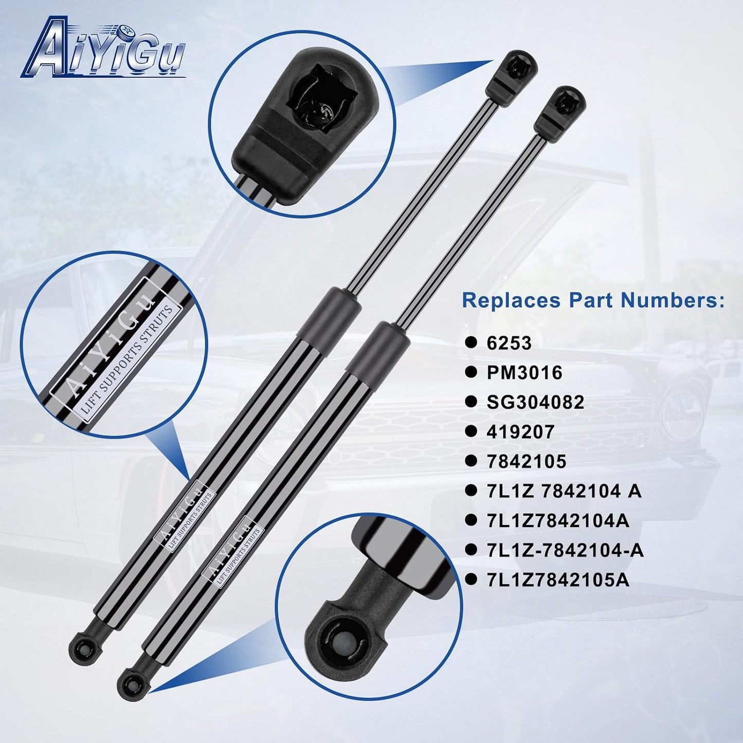 Amortiguadores gas soporte elevación ventana Ford 07-17