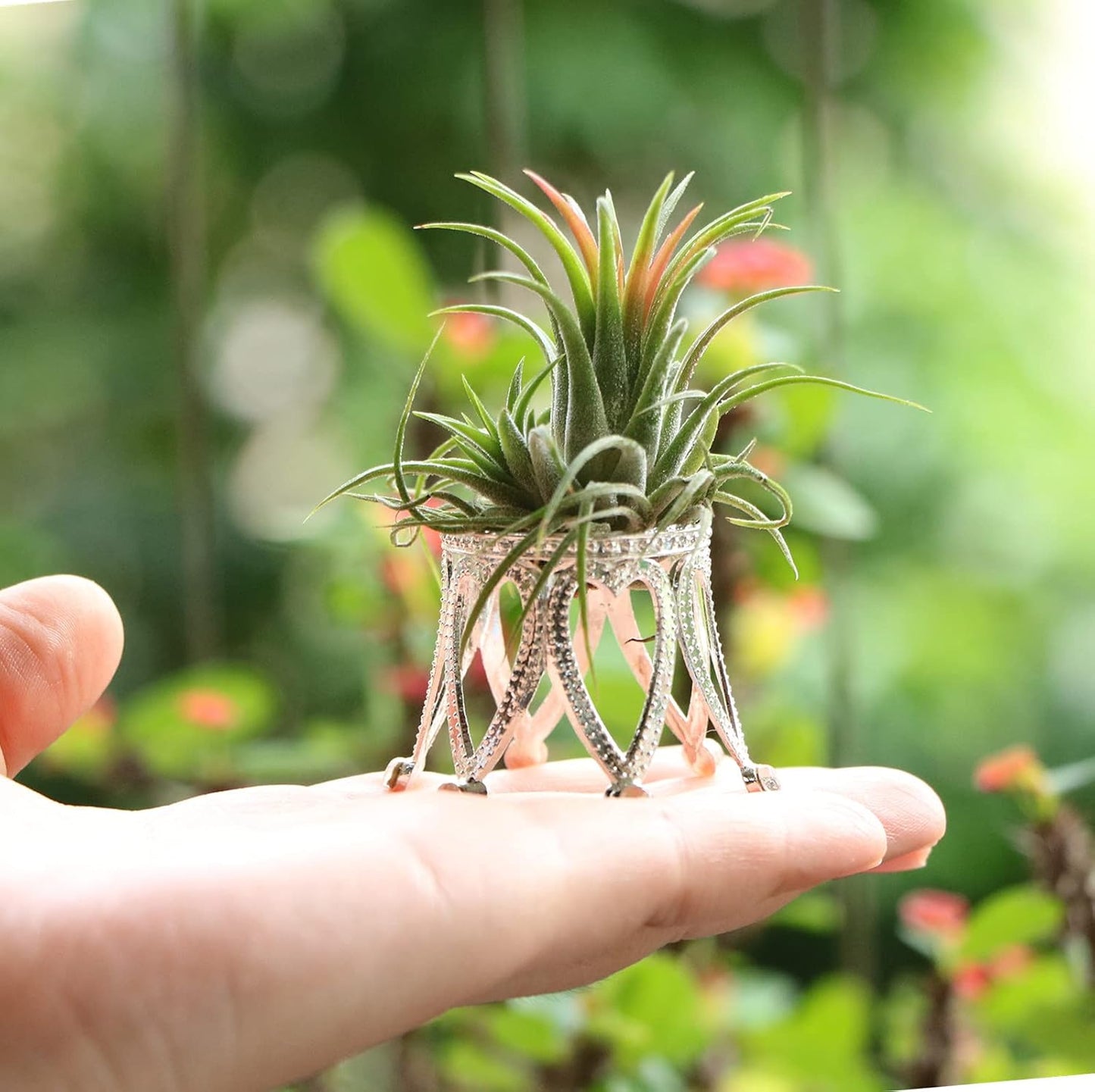 3 Soportes Plateados para Tillandsia Decoración Hogar Oficina