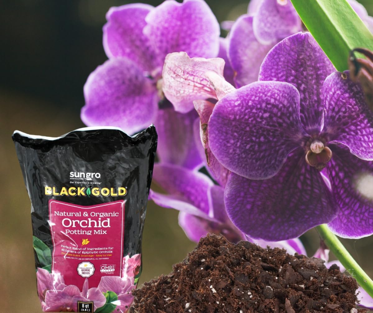 Mezcla orquídeas oro negro 8qt para macetas plástico
