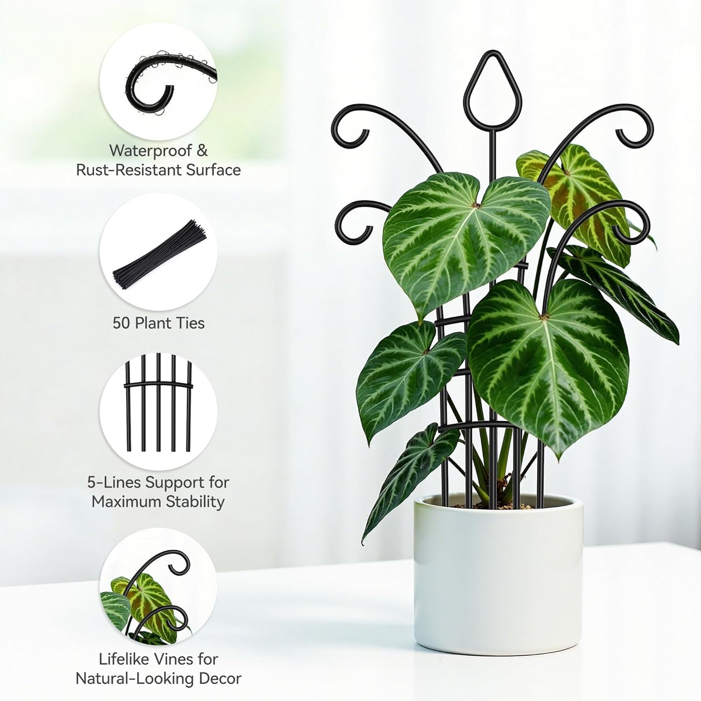 4 Enrejados Metal Negro Mate para Plantas Trepadoras