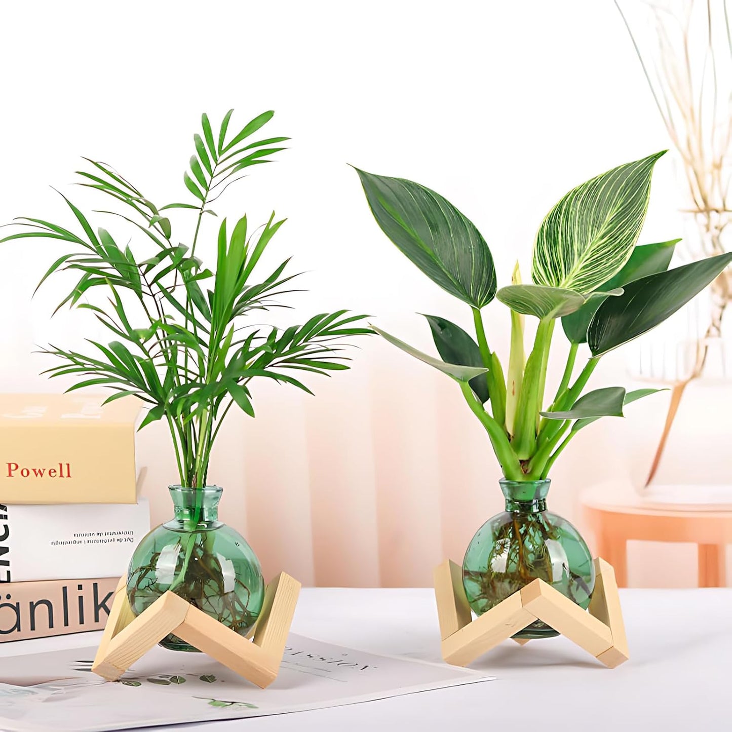 Jarrones vidrio soporte madera para plantas hidropónicas