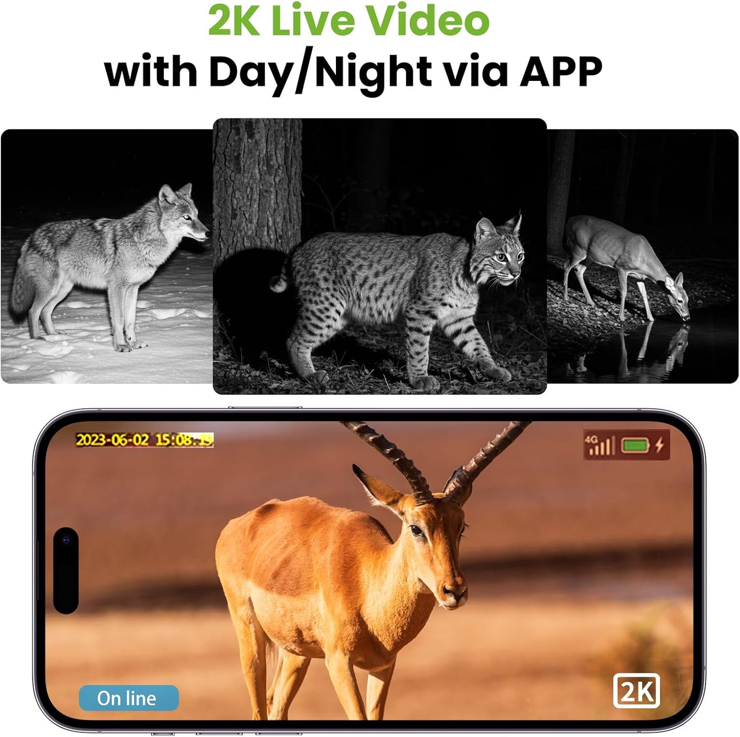 Cámara 4G LTE visión nocturna HD impermeable IP65 2K