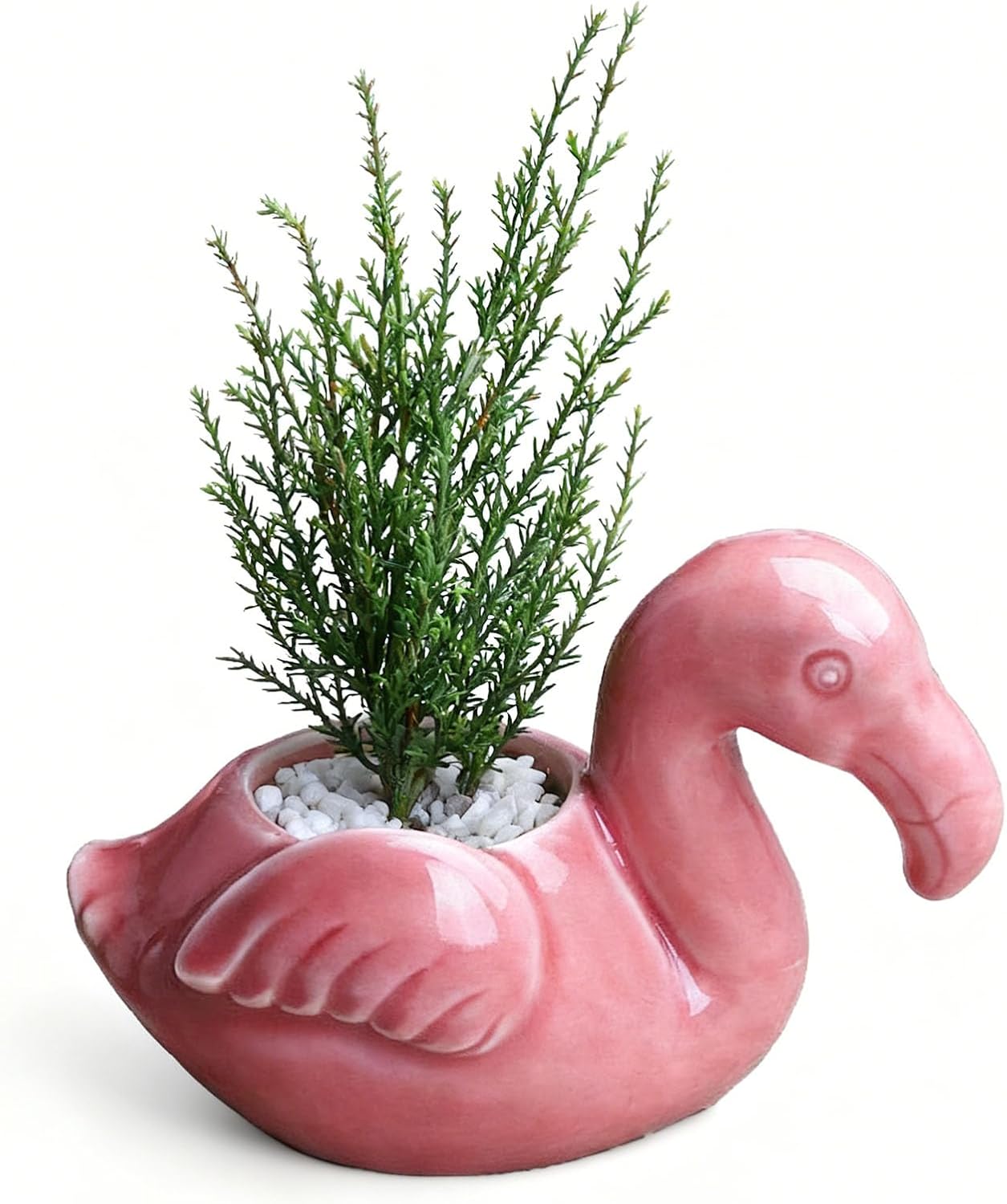 Maceta cerámica drenaje suculentas cactus decoración