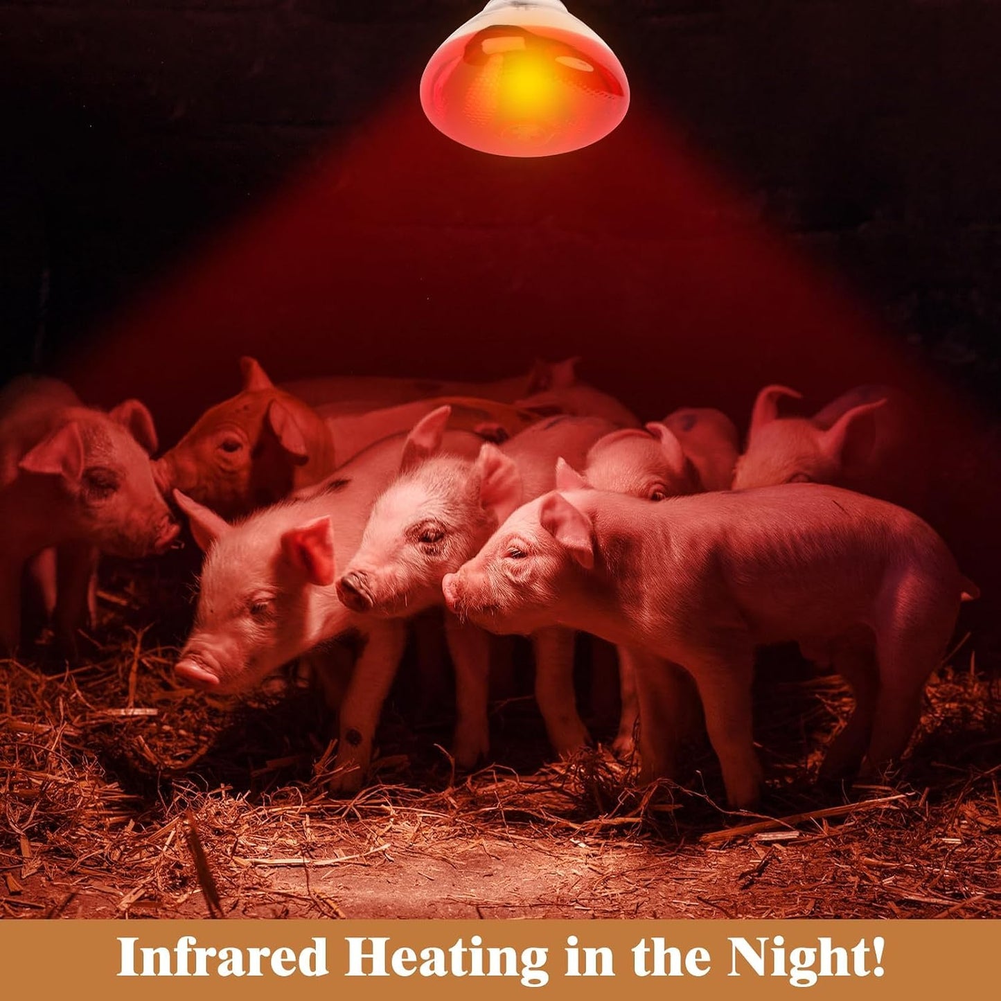 Lámpara calor infrarroja 250W para pollos y mascotas Par38 E26