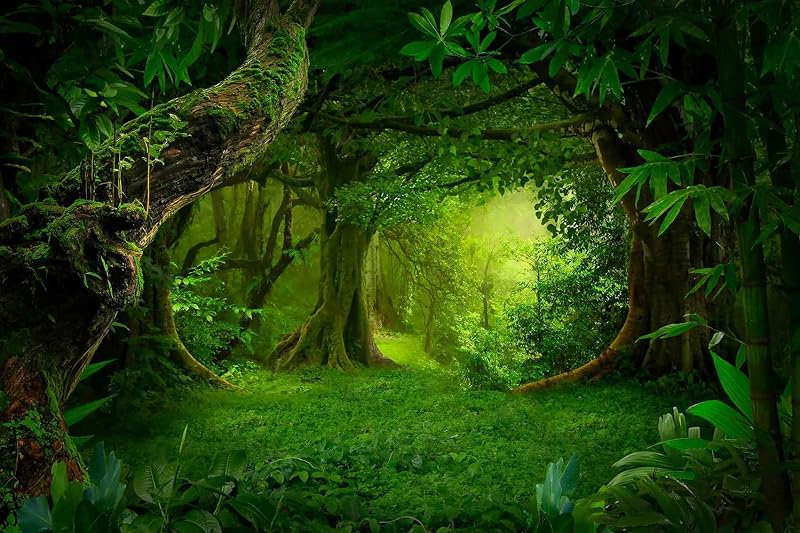 Papel tapiz mural bosque verde dormitorio sala baño