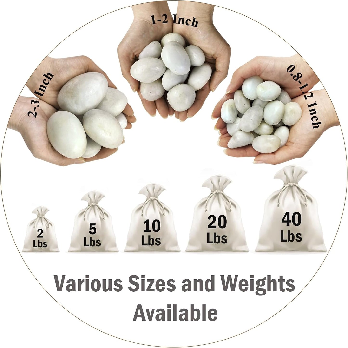 Rocas blancas de río 5lb para plantas, jarrón, acuario