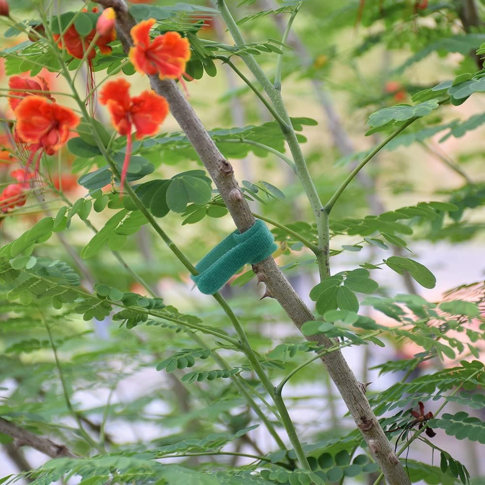 Bridas plástico para plantas gancho bucle 50uds 8pulg verde