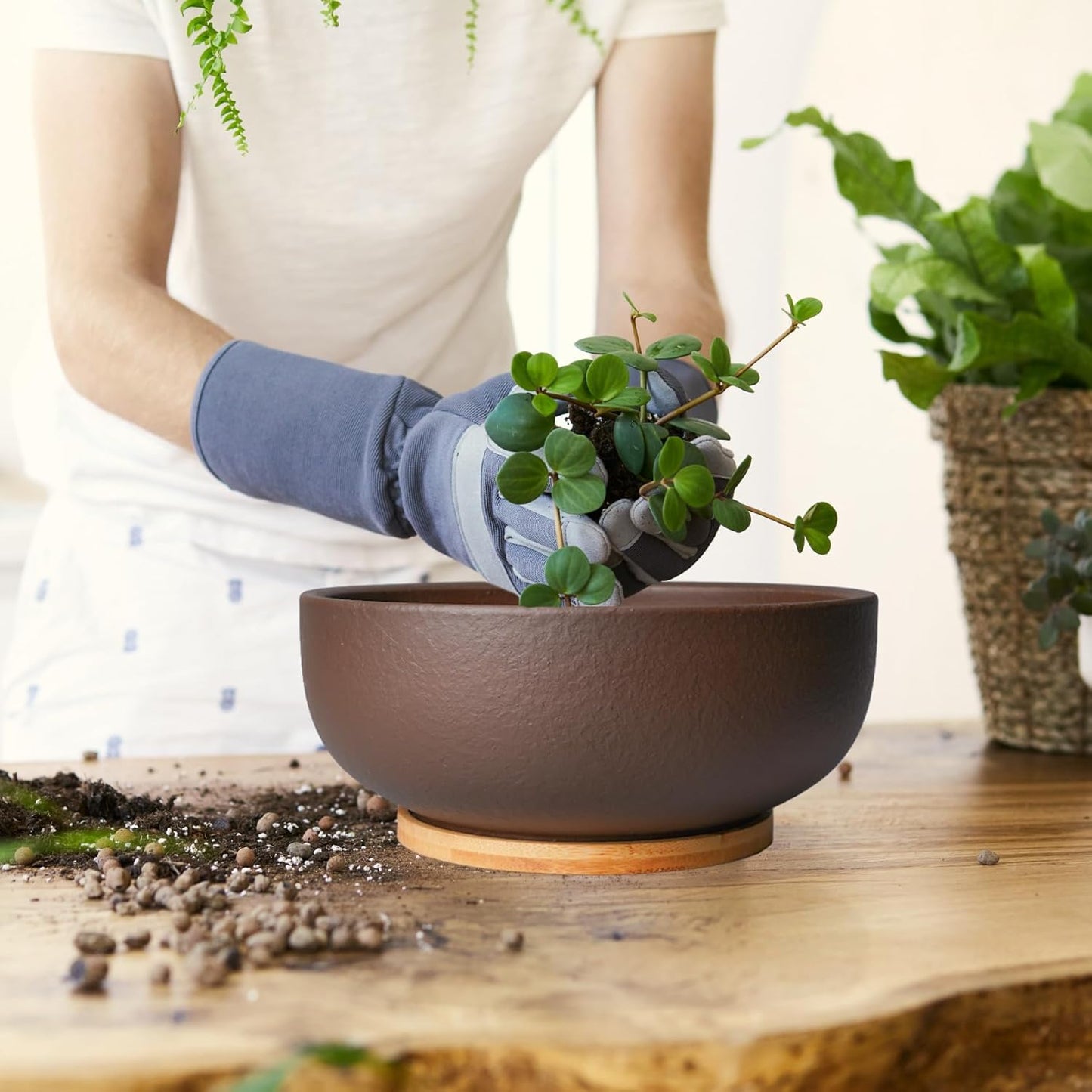 Maceta terracota 10" para suculentas y bonsái