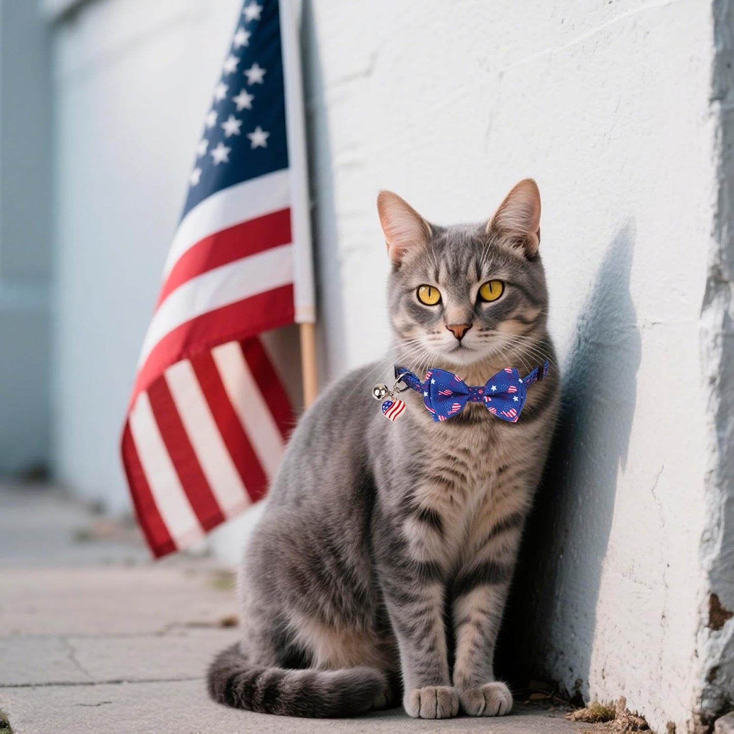 Collar gato bandera USA pajarita campana 4 de julio